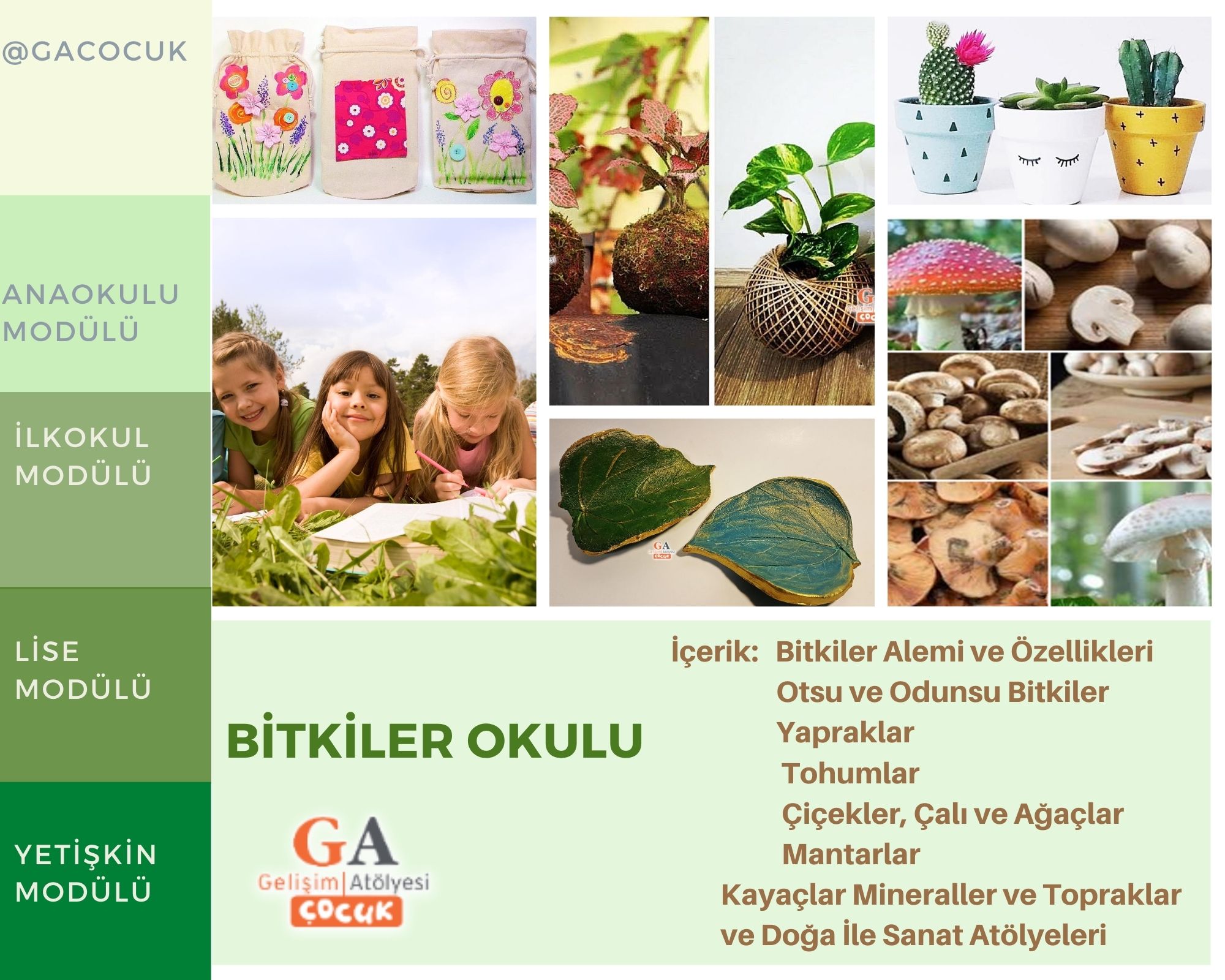 Bitkiler Okulu Atölyeleri 